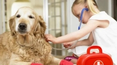 Перша надзвичайна ситуація