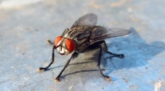 Є спальні небезпечні?