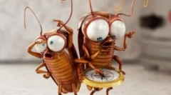 Опис та будівництво тарганів