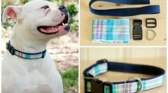 Собачий комір з вашими руками: проста інструкція