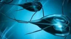 Основні симптоми лямбіозу