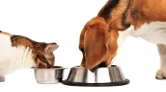 Особливості класу класу цілісний