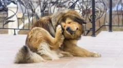 Де виходять з дому?