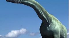 Паралітитан