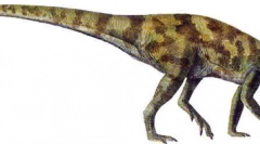 Парківський