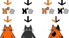 Плямистий кішок