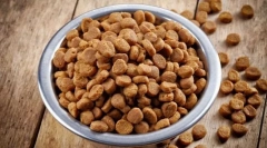 Плюси і мінуси сухого корму