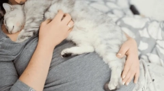 Чому кішка падає на людину?