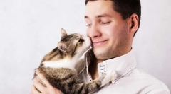 Чому кішки люблять потіння?