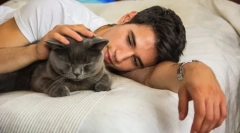 Чому кішки завжди займають господар