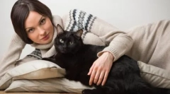 Чому самотні жінки розмножуються кішок