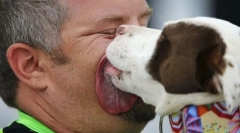 Чому собака облизує обличчя та руки власника?