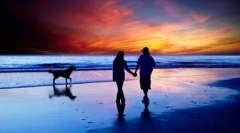 Чому собака називається кращим другом людини