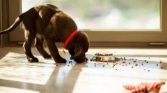 Патч канаву з землі