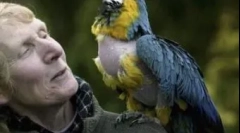 Вибір найдавніших тварин, що живуть на землі