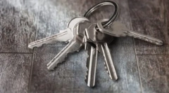 Ми купуємо цуценя або кошеня: 20 питань заводчика