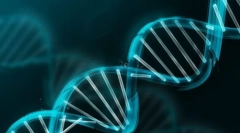 Концепції генетики