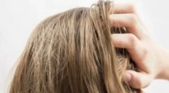 Порядок застосування nuduch факту останнього і gdid