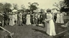 Британські та шотландські котячі породи: загальні риси та відмінності