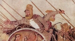 Породи котів з блискучою мордою