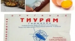 Тірам порошок з тарганів