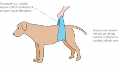 Втрата свідомості