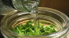 Правила використання настойки та скалярної полин