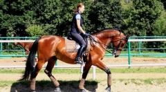 Інструкції з безпеки їзди