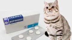 Підготовка від паразитів vermoks: інструкція з використання для дітей