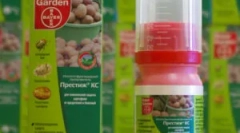 Престиж: призначення та правила