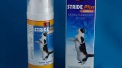 Плюс препарат: ефективний засіб для захворювань суглобів у кішок