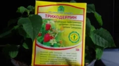 Підготовка triphodermin та інструкції для його використання