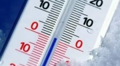 При якій температурі блоки вмирають?