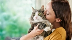 Причини алергії на кішок