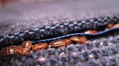 Причини, чому приходять помилки