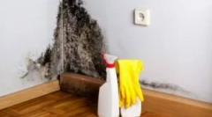 Причини виникнення форми вдома