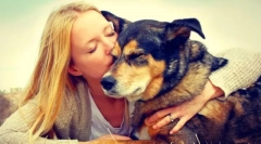 Притулок для собак у москві та московській області. Дайте своєму життю одному