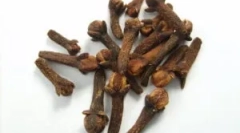 Застосування гвоздик від паразитів