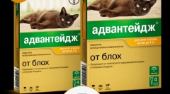Застосування переваги препарату (advanda) для кішок