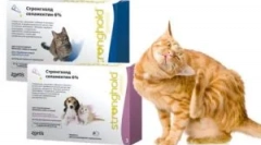 Застосування боротьби з препаратом для кішок