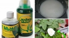 Використання зеленого мила з шкідників