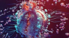 Ознаки живих істот