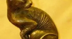 Походження домашньої кішки