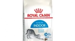 Прості безшовні кішки: чому ми так багато любимо