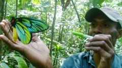 Чоловіча королева олександра