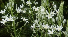 Церковна кімната