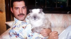 Пухнасті музи: факти про котів відомих людей