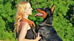 Радісні стрибки