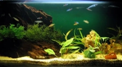 Різновиди акваріумних компресорів