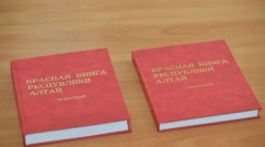 Рідкі тварини євразія